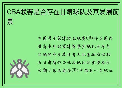CBA联赛是否存在甘肃球队及其发展前景